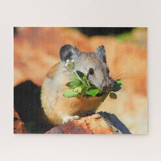 Pika-Chef bei Pflanze Puzzle (Horizontal)