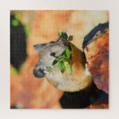 Pika-Chef bei Pflanze Puzzle (Vertikal)