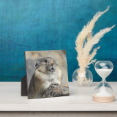 Pika Desktop Plaque Fotoplatte (InSitu)