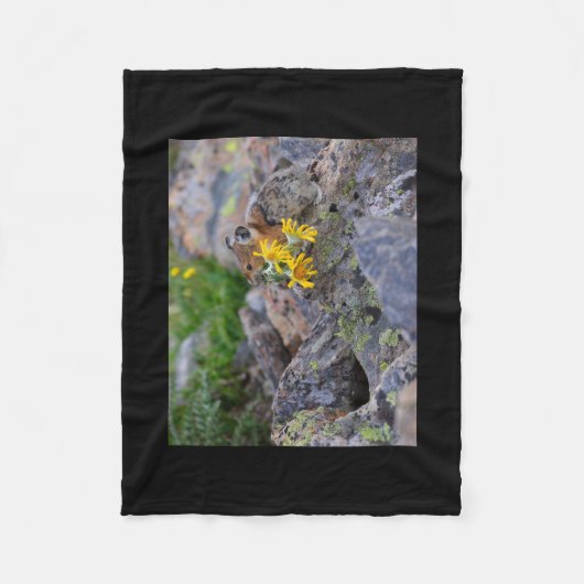 pika fleecedecke (Vorderseite)