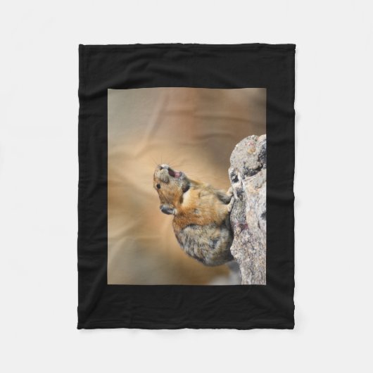 Pika Fleecedecke (Vorderseite)