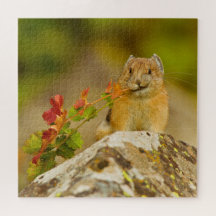 Pika Holding-Blätter im Mund