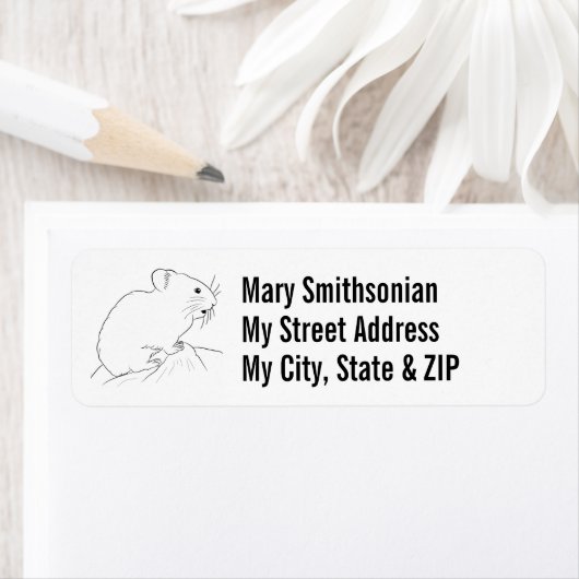 Pika Illustriert Zeichnend (Insitu)