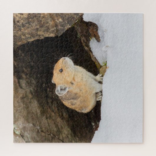 Pika in Schnee Puzzle (Vertikal)