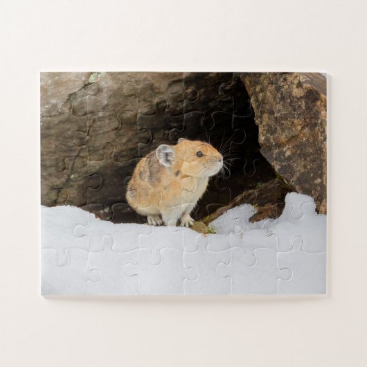 Pika in Snow Puzzle (Horizontal)