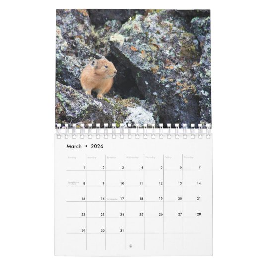 Pika Kalender (Mär 2026)