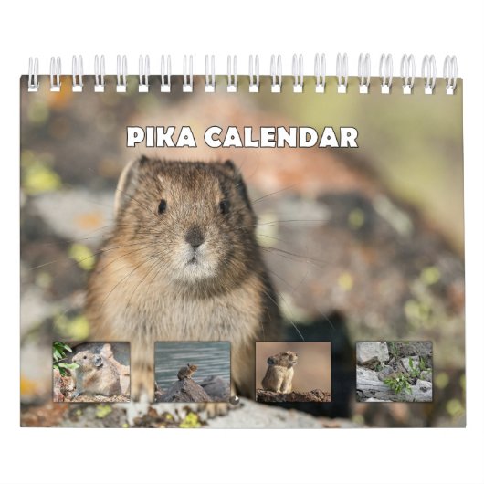 Pika Kalender (Titelbild)