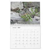 Pika Kalender (Jan 2027)