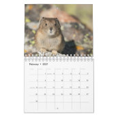 Pika Kalender (Feb 2027)