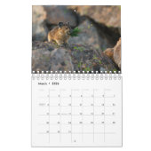 Pika Kalender (Mär 2026)