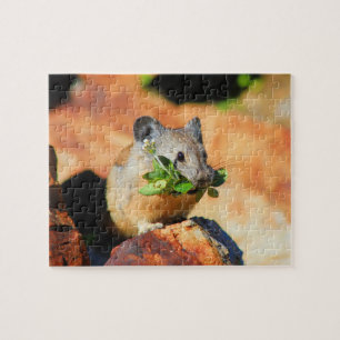 Pika kauend auf Pflanze Puzzle
