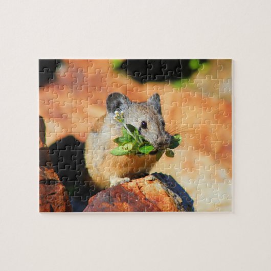 Pika kauend auf Pflanze Puzzle (Horizontal)