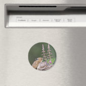 Pika Magnet (In Situ (Geschirrspüler))