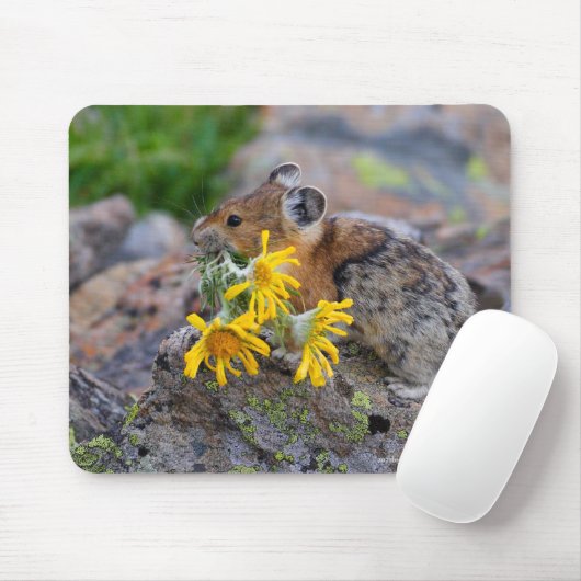 Pika Mousepad (Mit Mouse)