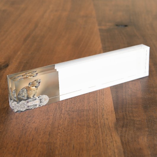 Pika Namensplakette (Seite)