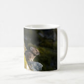 Pika nimmt die Sonne des Abends auf Kaffeetasse (VorderseiteRechts)