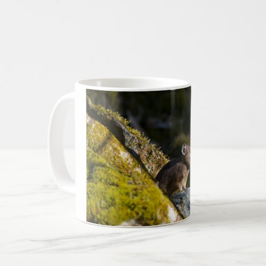 Pika nimmt die Sonne des Abends auf Kaffeetasse (Vorderseite Links)
