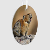 Pika Ornament (Vorderseite)