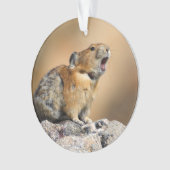Pika Ornament (Vorderseite)
