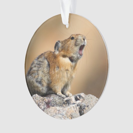 Pika Ornament (Vorderseite)