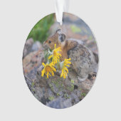 pika ornament (Vorderseite)