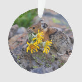 pika ornament (Vorderseite)