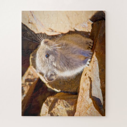 Pika Puzzle (Vertikal)