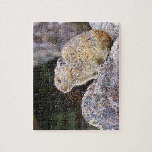 Pika Puzzle (Vertikal)