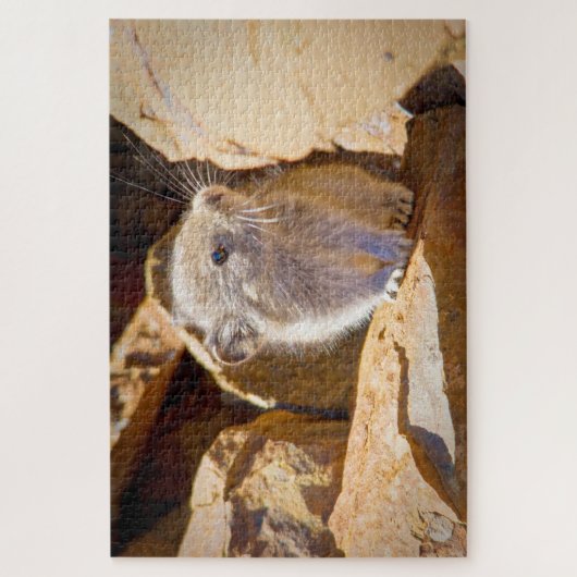 Pika Puzzle (Vertikal)