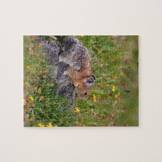 pika puzzle (Horizontal)