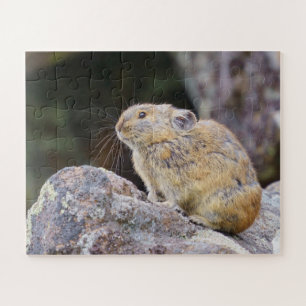 Pika Puzzle
