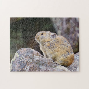 Pika Puzzle