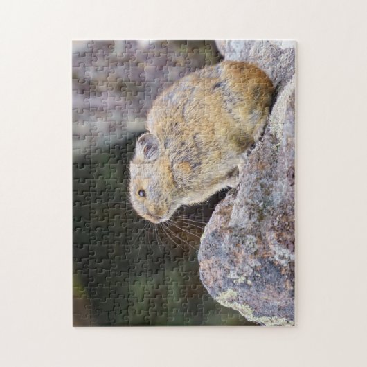 Pika Puzzle (Vertikal)