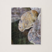 Pika Puzzle (Vertikal)