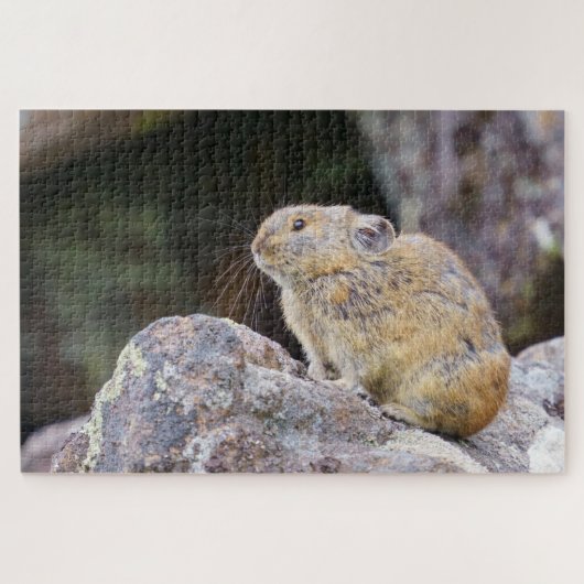 Pika Puzzle (Horizontal)