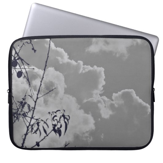 Pikade Laptopschutzhülle (Vorderseite)