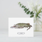 Pike Fisch, tony fernandes Postkarte (Stehend Vorderseite)