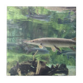 Pike-Fische Fliese (Vorderseite)