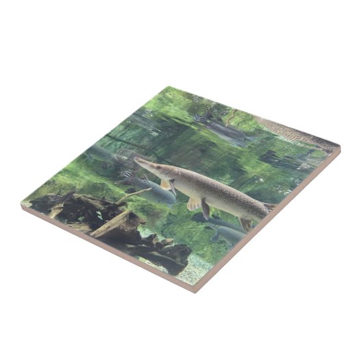 Pike-Fische Fliese (Seite)