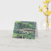 Pike-Fische Karte (Gelbe Blume)