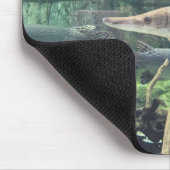 Pike-Fische Mousepad (Ecke)