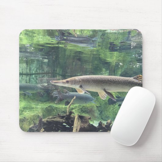 Pike-Fische Mousepad (Mit Mouse)