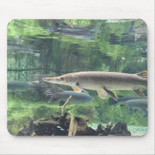 Pike-Fische Mousepad