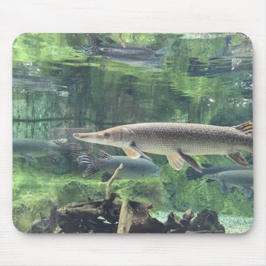 Pike-Fische Mousepad (Vorne)