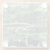 Pike Fish Clear Water Foto Glasuntersetzer (Rückseite)