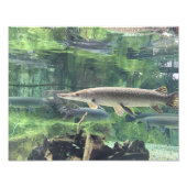 Pike Fish Fotodruck (Vorne)