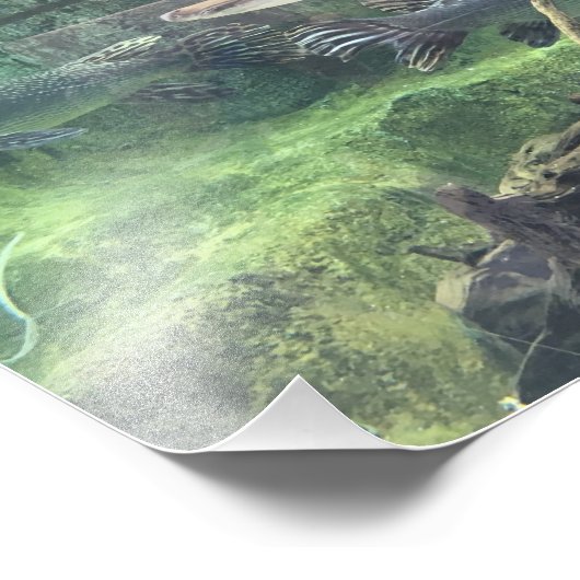 Pike Fish Fotodruck (Ecke)