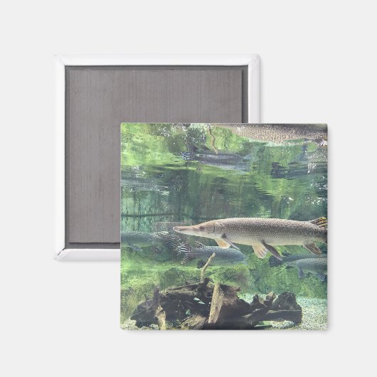 Pike Fish Magnet (Vorderseite/Rückseite)