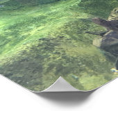 Pike Fish Poster (Ecke)