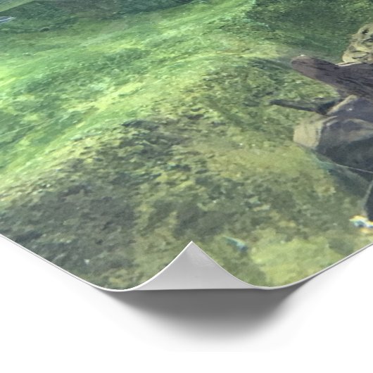 Pike Fish Poster (Ecke)